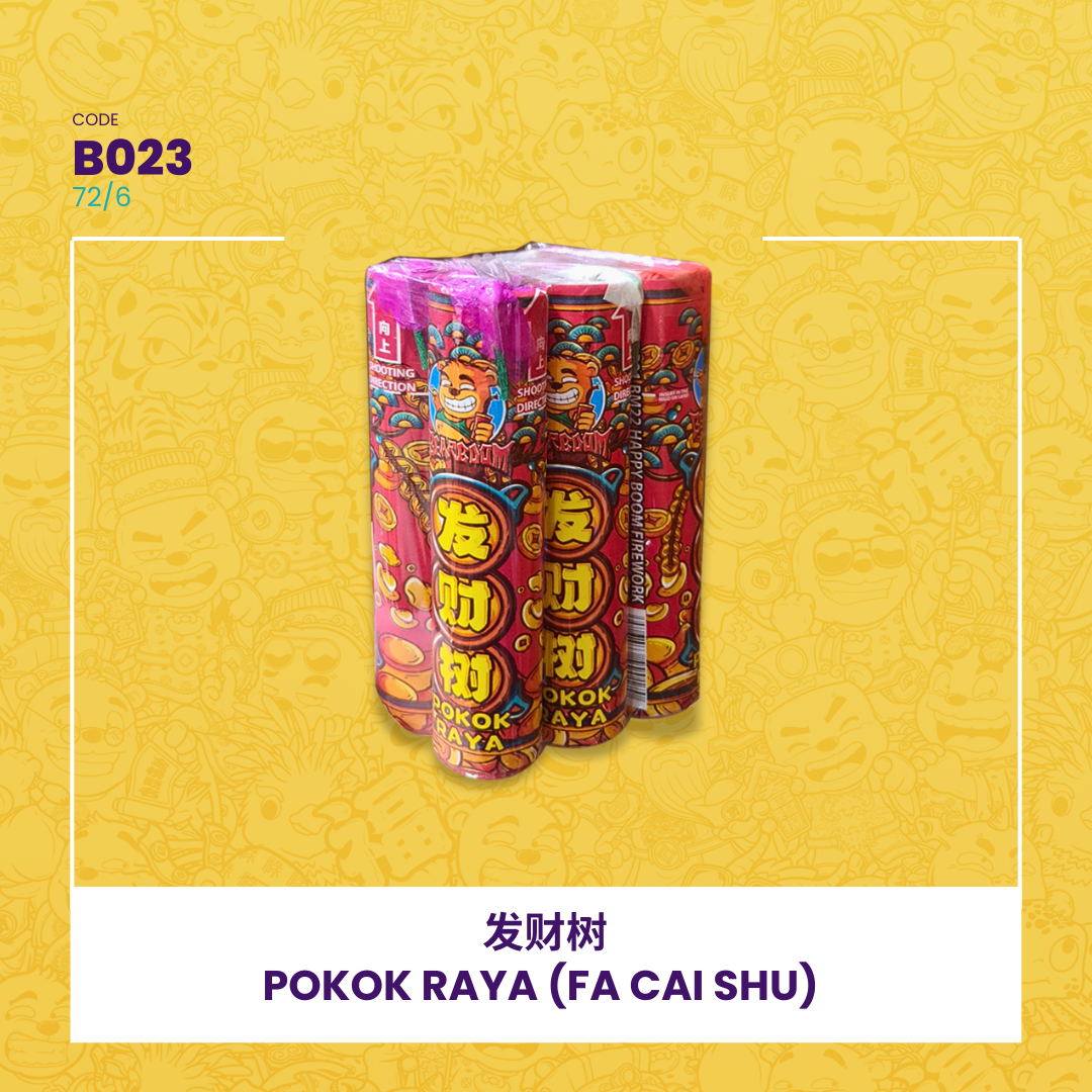 B023 |⛲ POKOK RAYA (FA CAI SHU) 发财树_0
