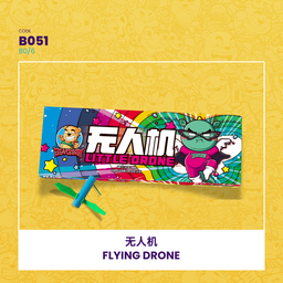 B051 |✈️ FLYING DRONE 无人机