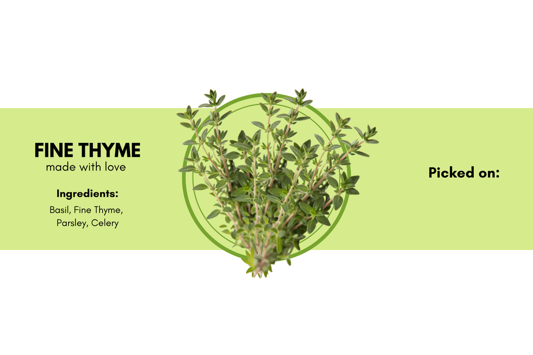 Fine Thyme