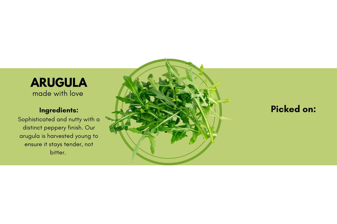 Arugula 