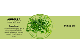 Arugula 