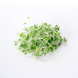 Microgreens 