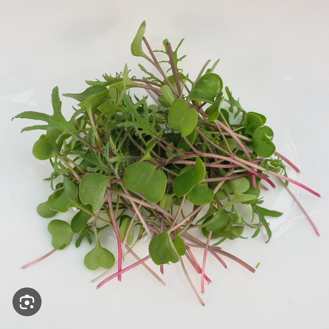 Microgreens _2