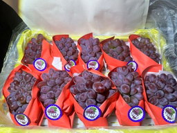 Jasmine / Moli Grapes (By the Box) 
