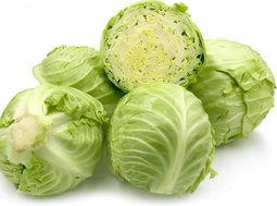 Cabbage