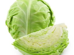 Cabbage