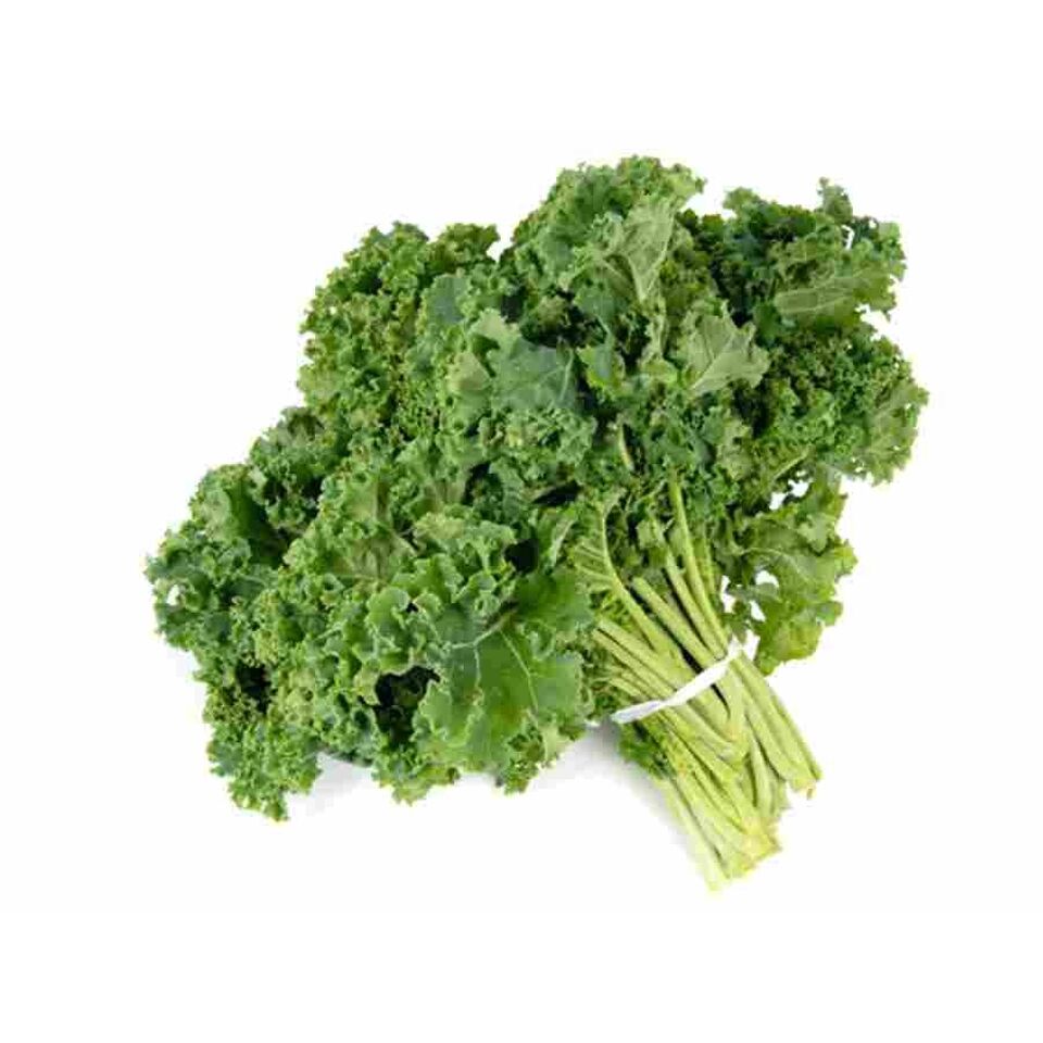 Chomolieur
