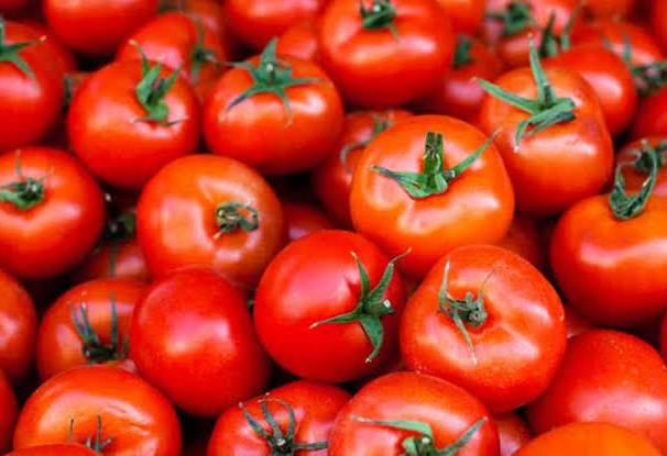 Tomatoes_0