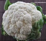 Cauliflower