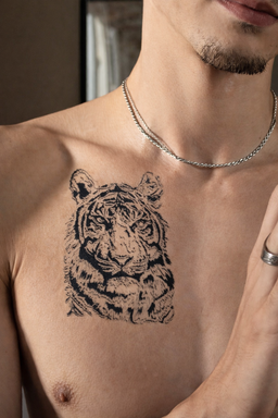 TigerRr