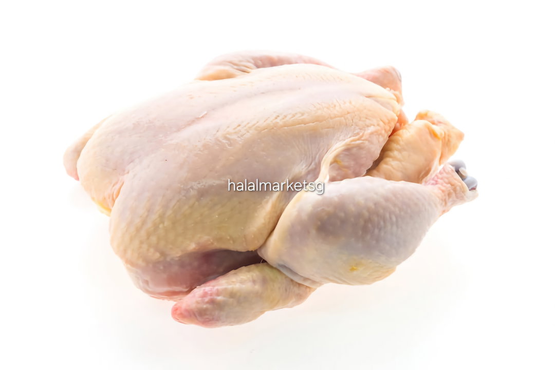 Fresh frozen malaysia chicken 1kg-1.4kg