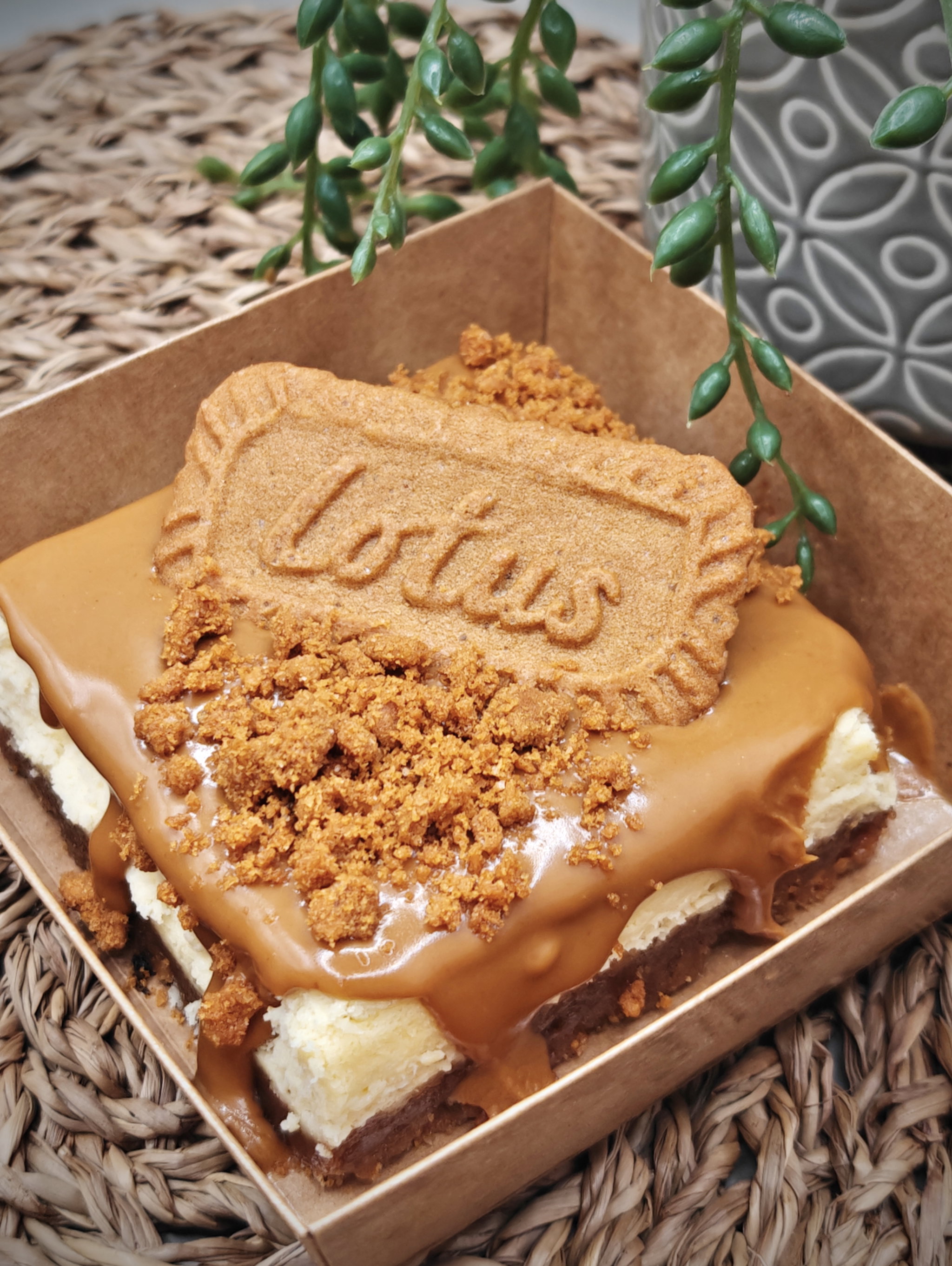 Biscoff Cheesecake_0