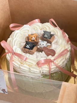 Little Neko Basque Burnt Cheesecake