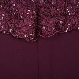 Erse Breeze Lace Dress