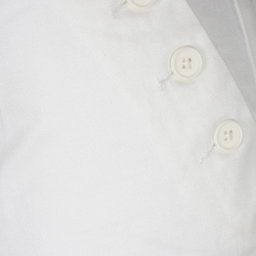 The Limited Summer Female Shorts 14