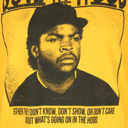 Boyz n The Hood Fun T-shirt 5xl