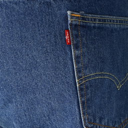 Levi’s Plus Size Male Jeans BIG N TALL