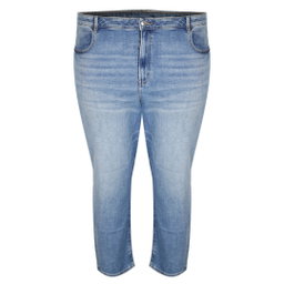 American Eagle Plus Size Female Jeans 24