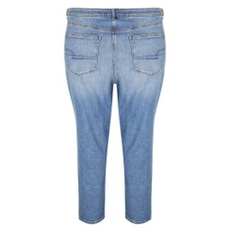 American Eagle Plus Size Female Jeans 24