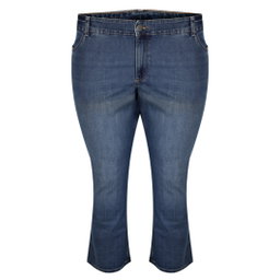 Lee Straight Fit Plus Size Female Jeans 24w