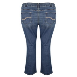 Lee Straight Fit Plus Size Female Jeans 24w