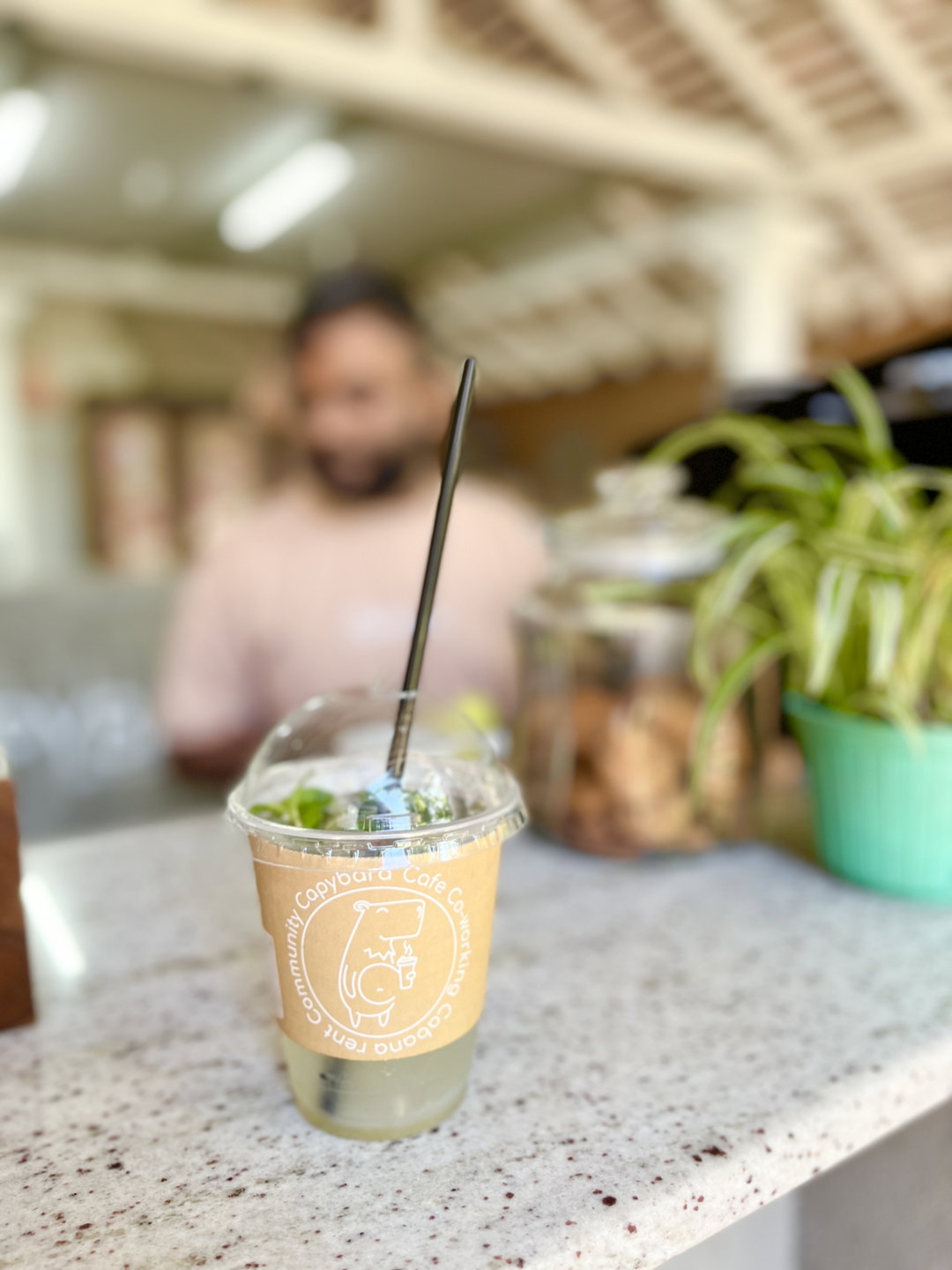 Mojito Homemade Lemonade