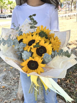 Girasoles