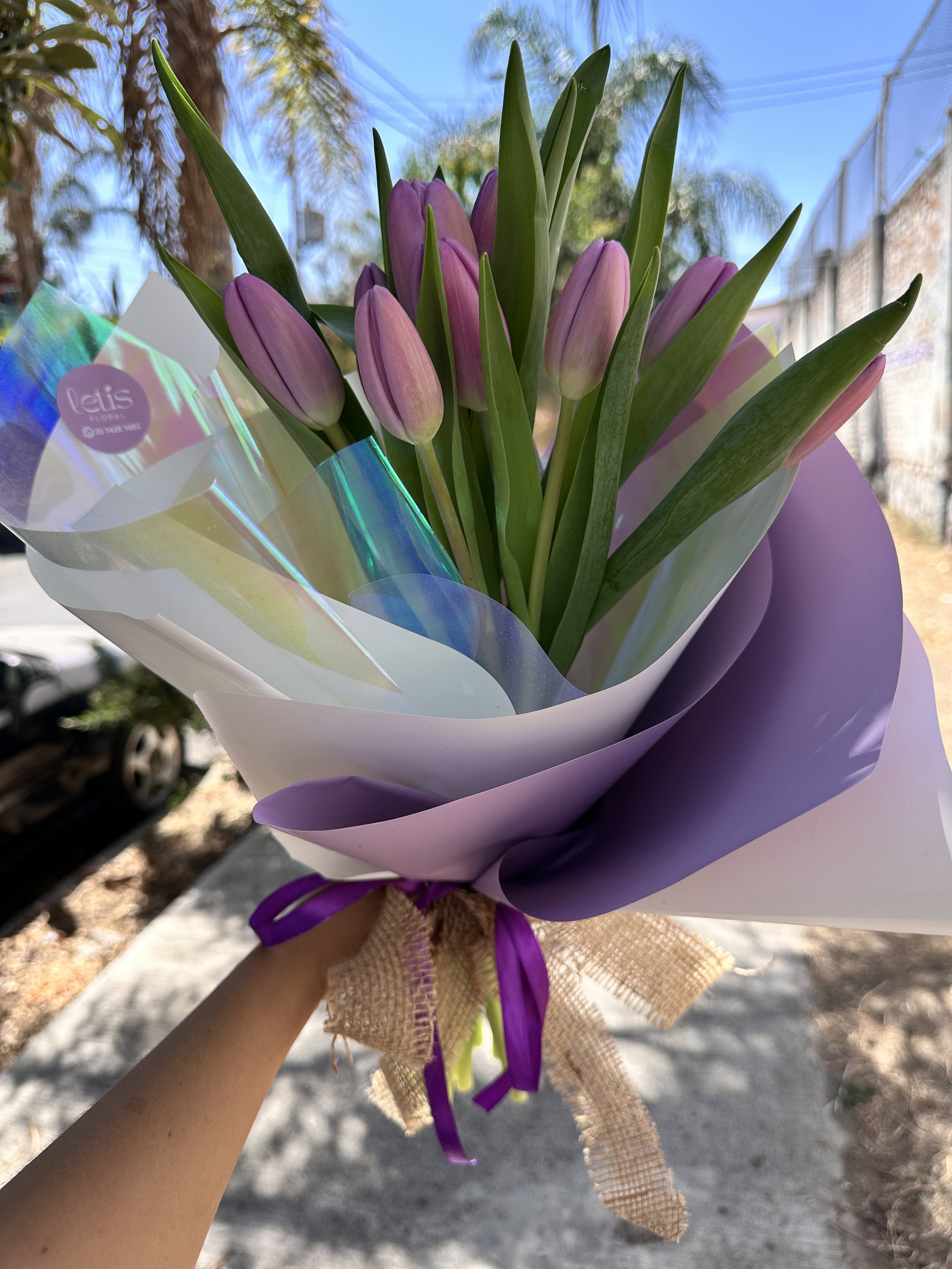 Tulipanes _3