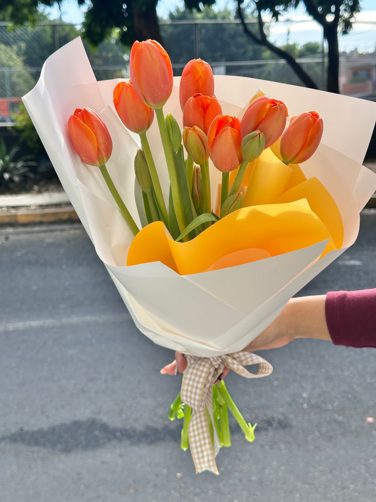 Tulipanes _1