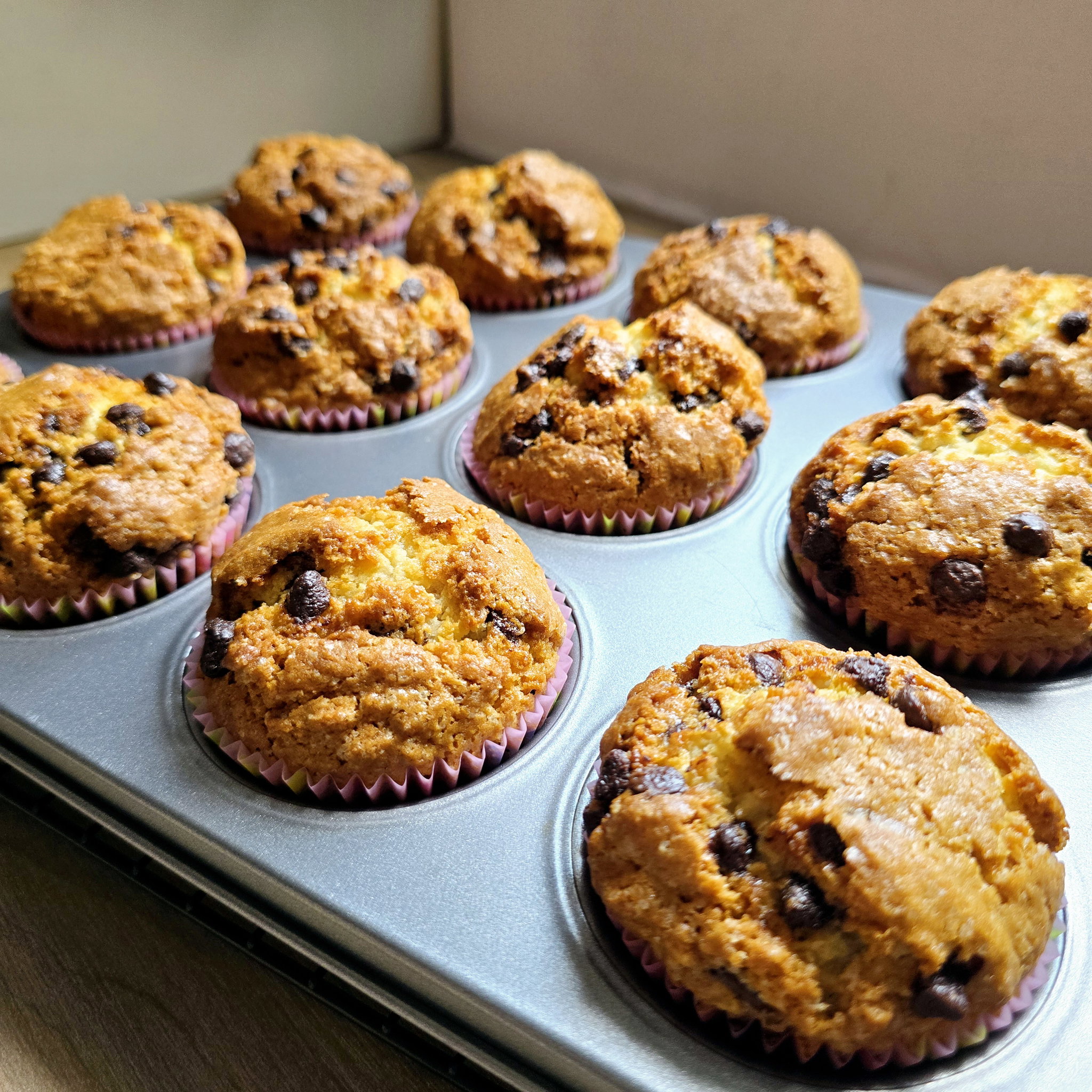 Chocolate Chip Muffin (6pcs)_0