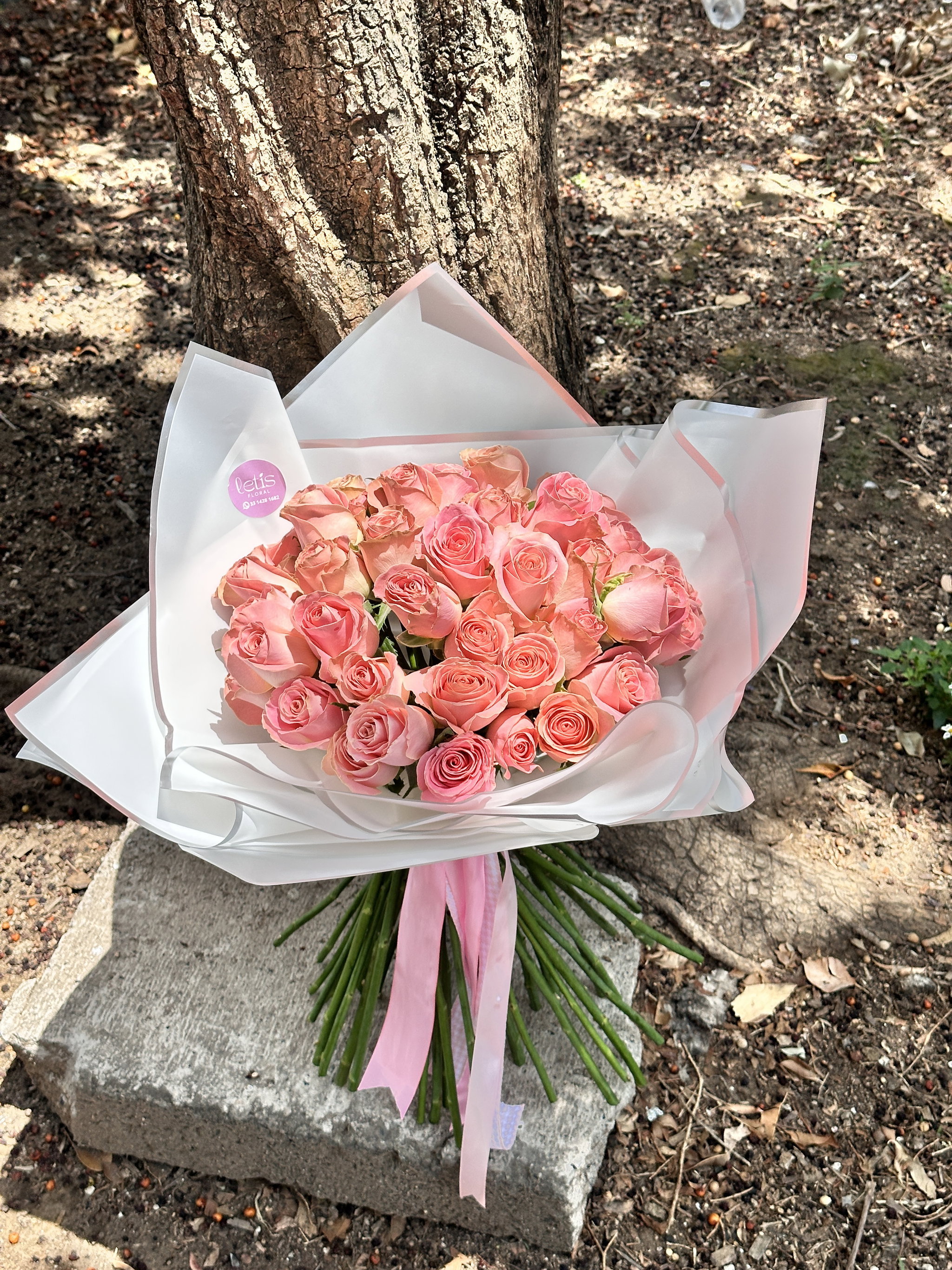 50 Rosas _1