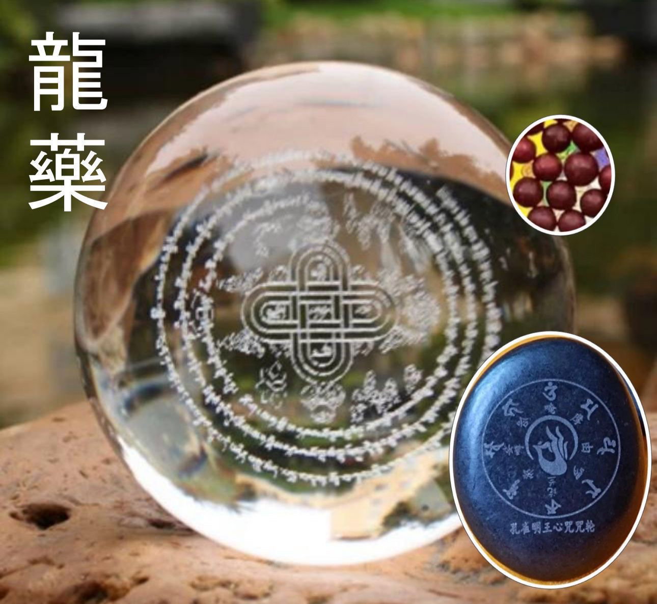 龙珠-$35 / 套 ( 非MAS 会员）_0