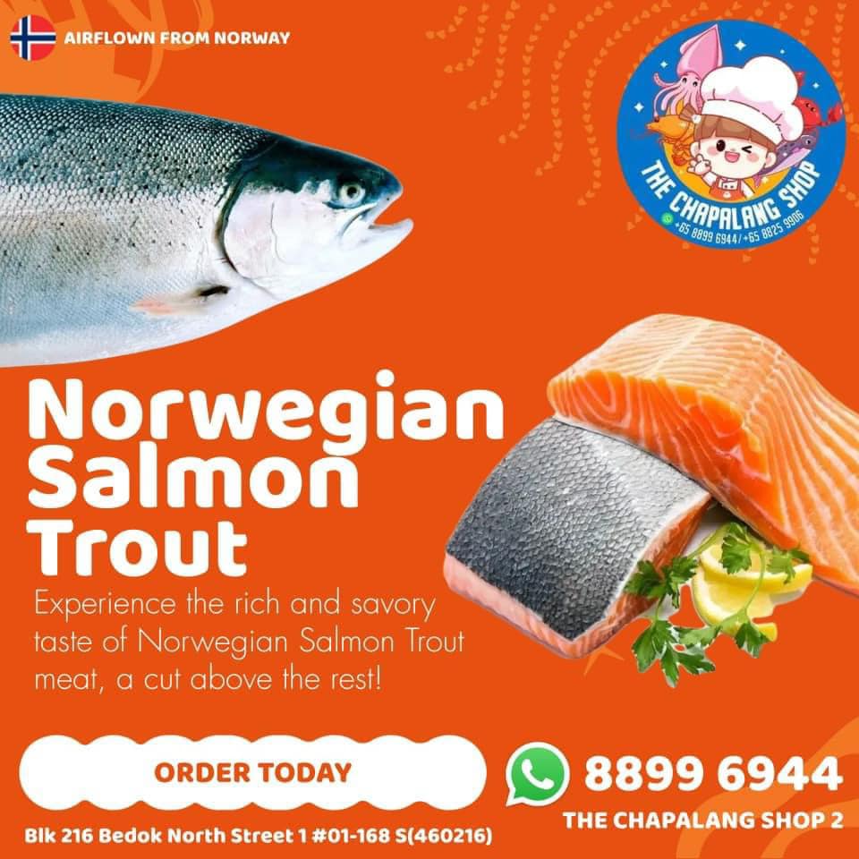 Norwegian Salmon Whole Fish (4 Kg) 