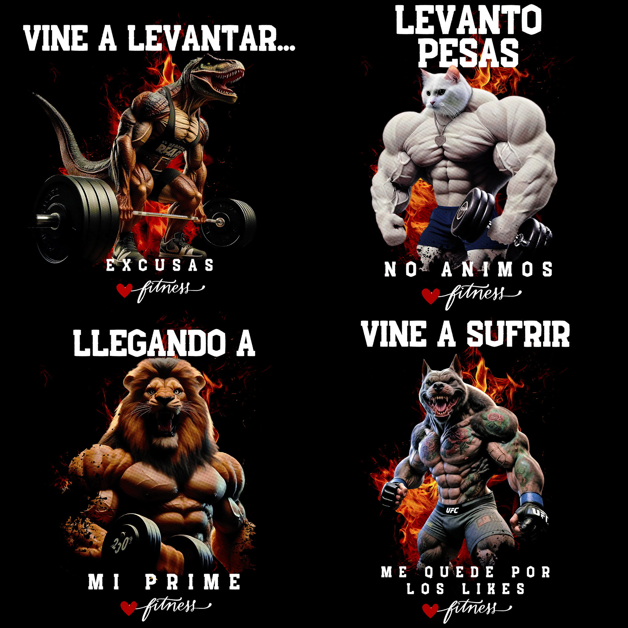 Animales Gym_0