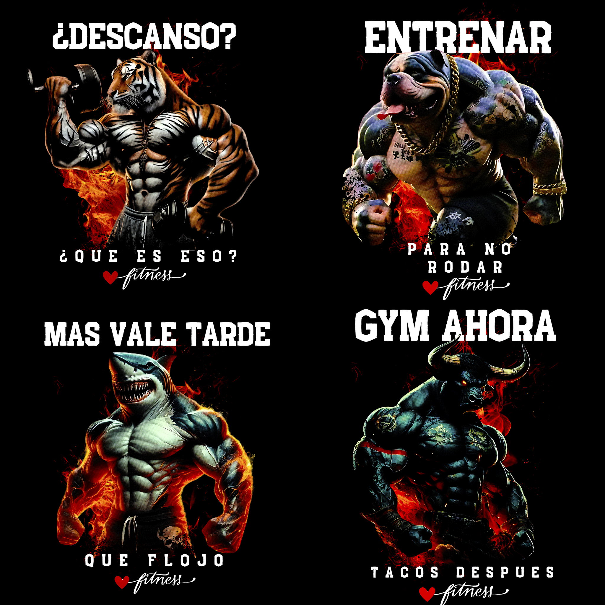 Animales Gym_2