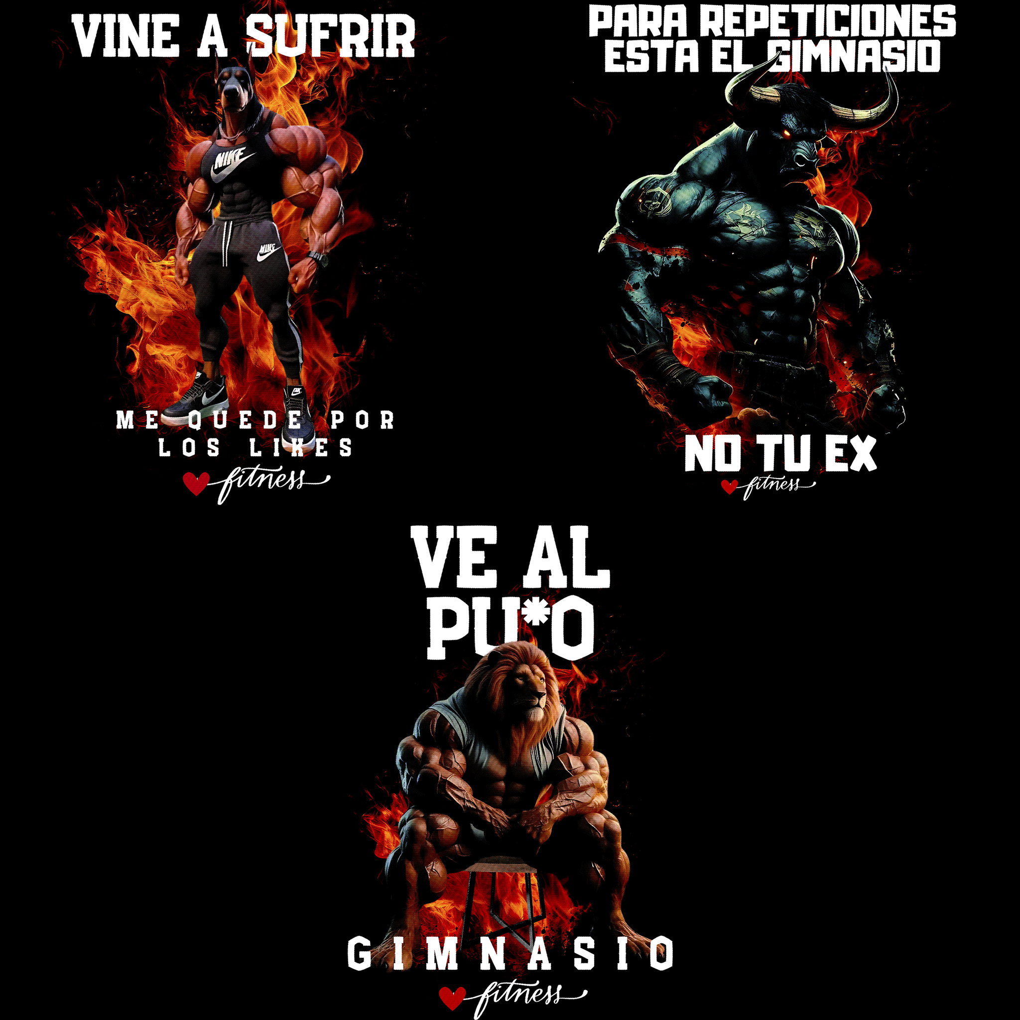 Animales Gym_4