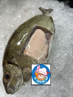 Kasu Rabbit Fish - 白肚鱼