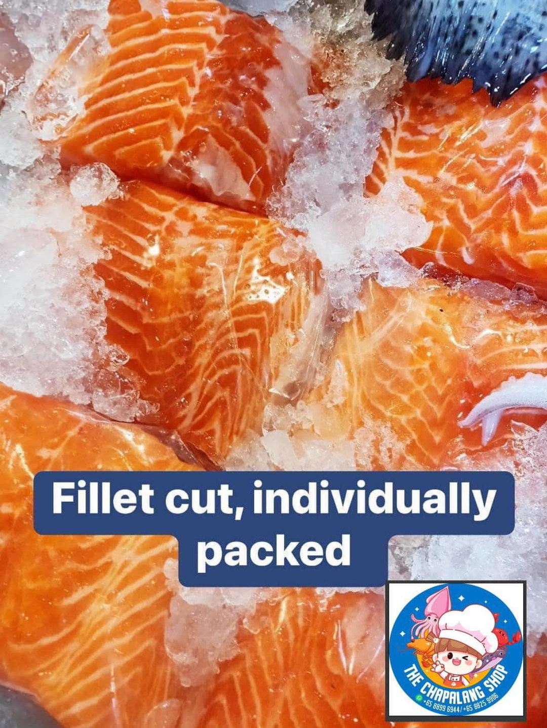 Salmon Fillet Only