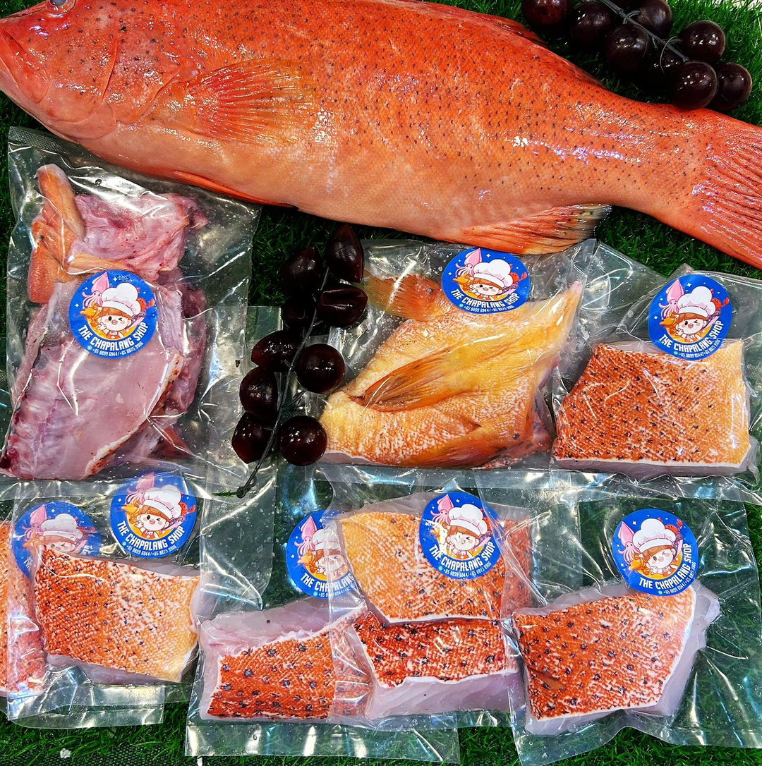 Red Garoupa Fillet Only