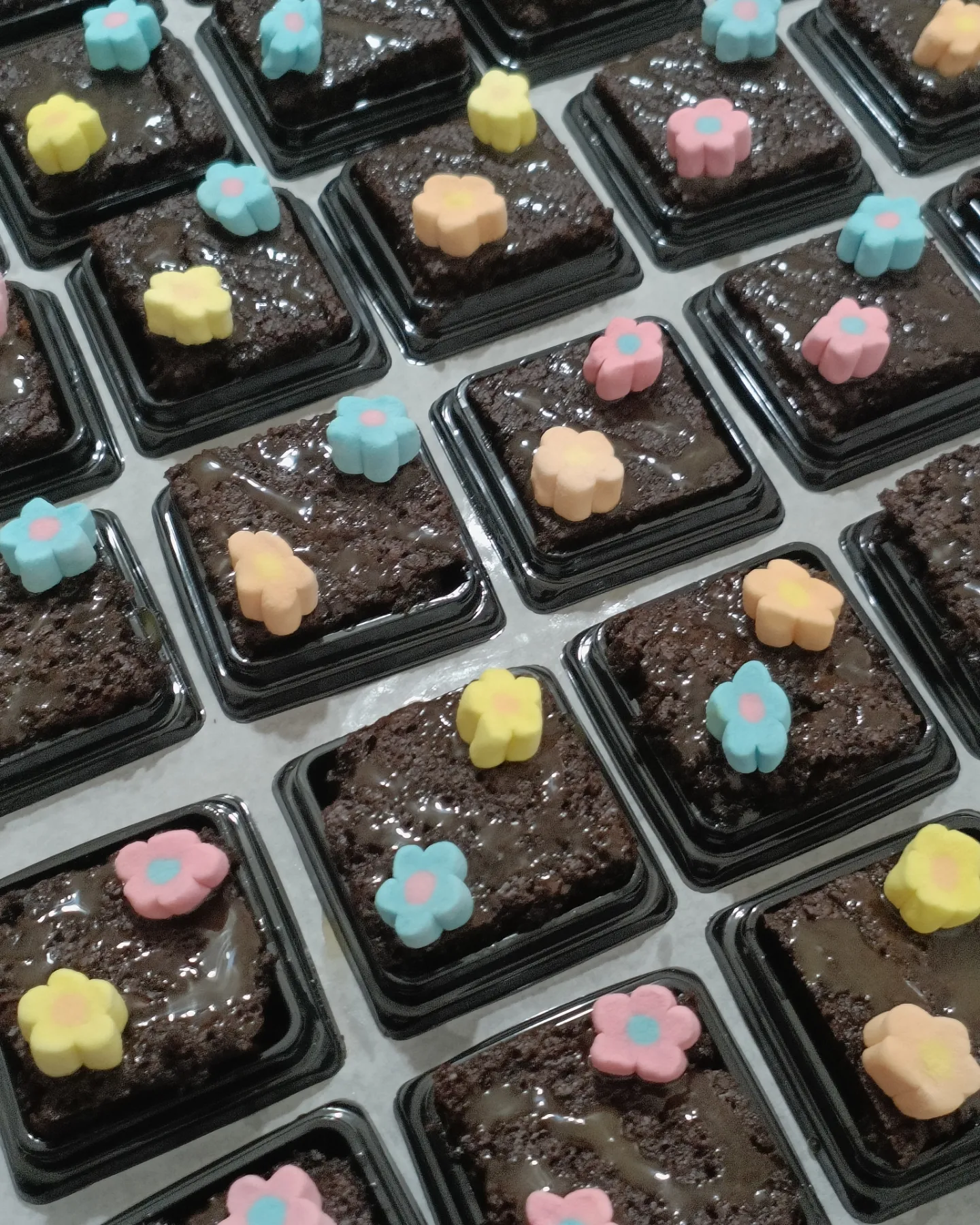 Brownies _1
