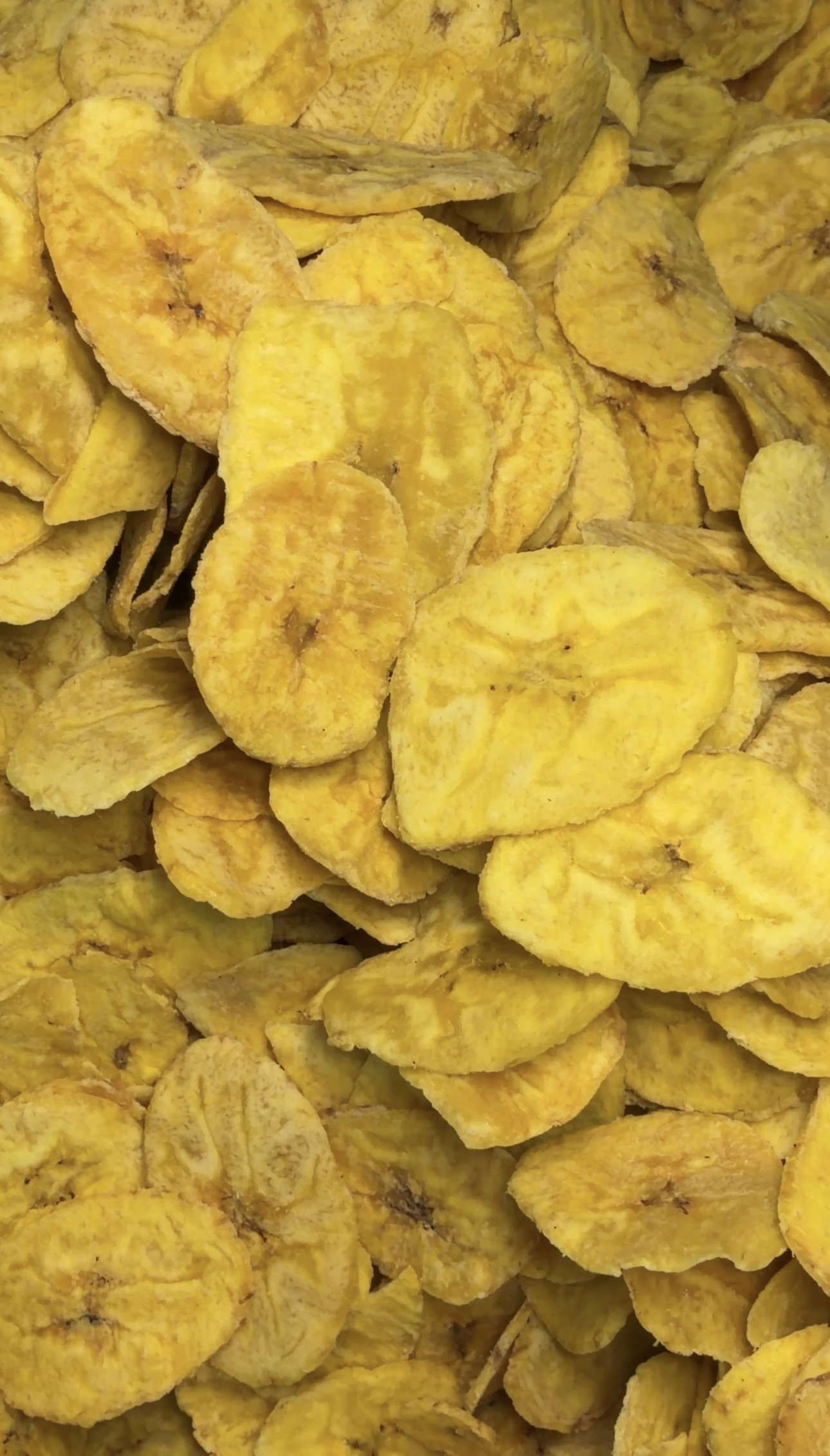 Plantain Chips - 1 pack_1