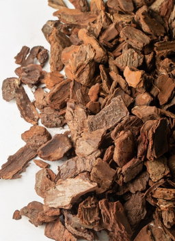 Bitter Wood Bark