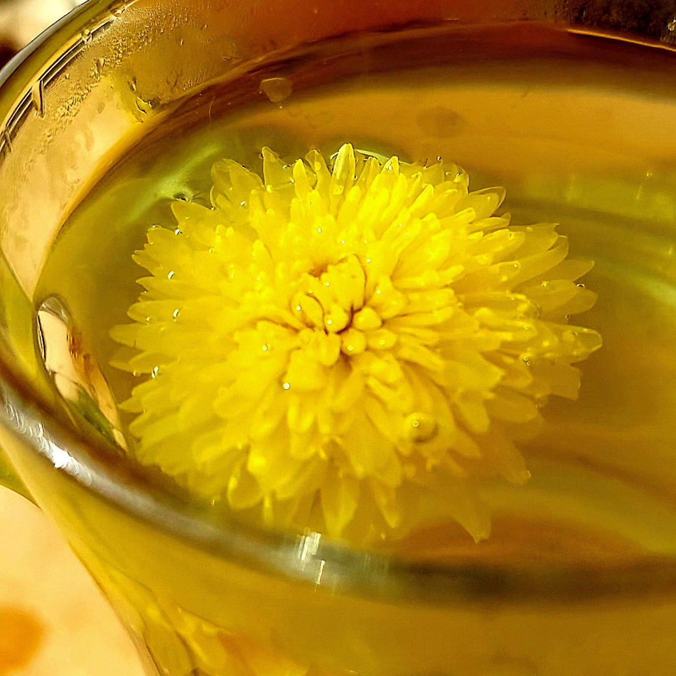 Kuai Tea™ - Royal Chrysanthemum from organic farm 筷茶有機皇菊_2