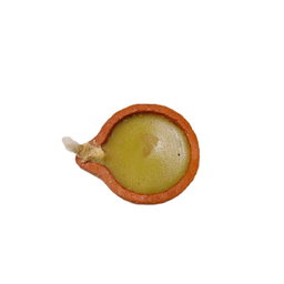 GMS Laxmi Kubera Sanjeevini Mooligai Vilaku 20pcs
