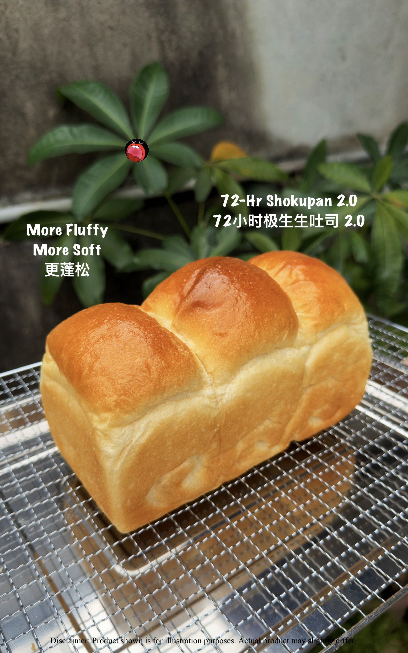 72-Hour Shokupan 2.0 72-小时极生生吐司 2.0