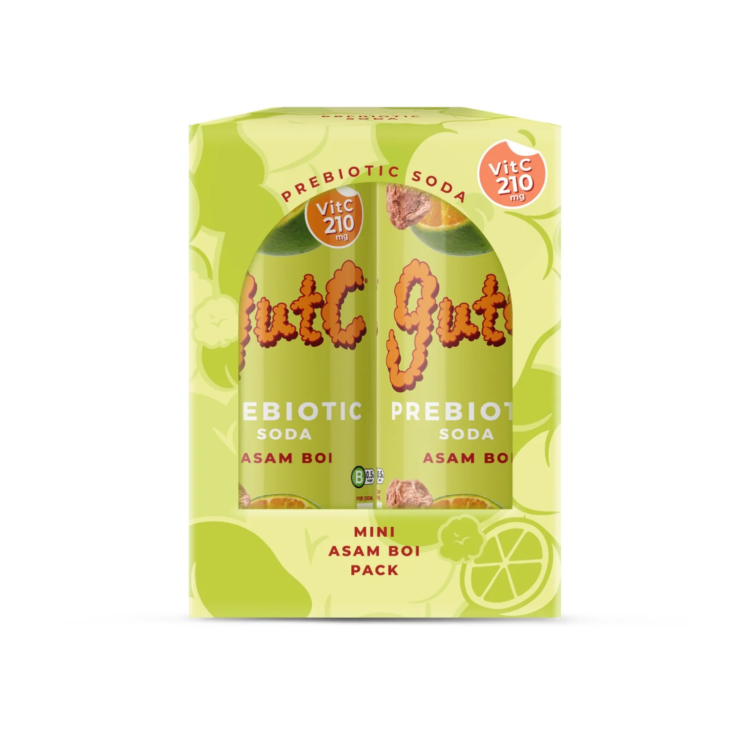 The Tapping Tapir GutC Asam Boi 250ml (4tins x 6otrs)_0