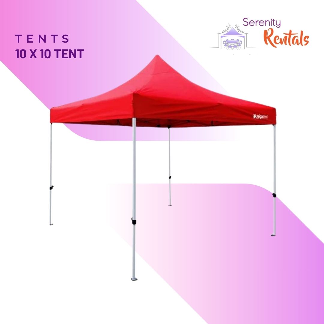 10 x 10 Canopy Tent_2