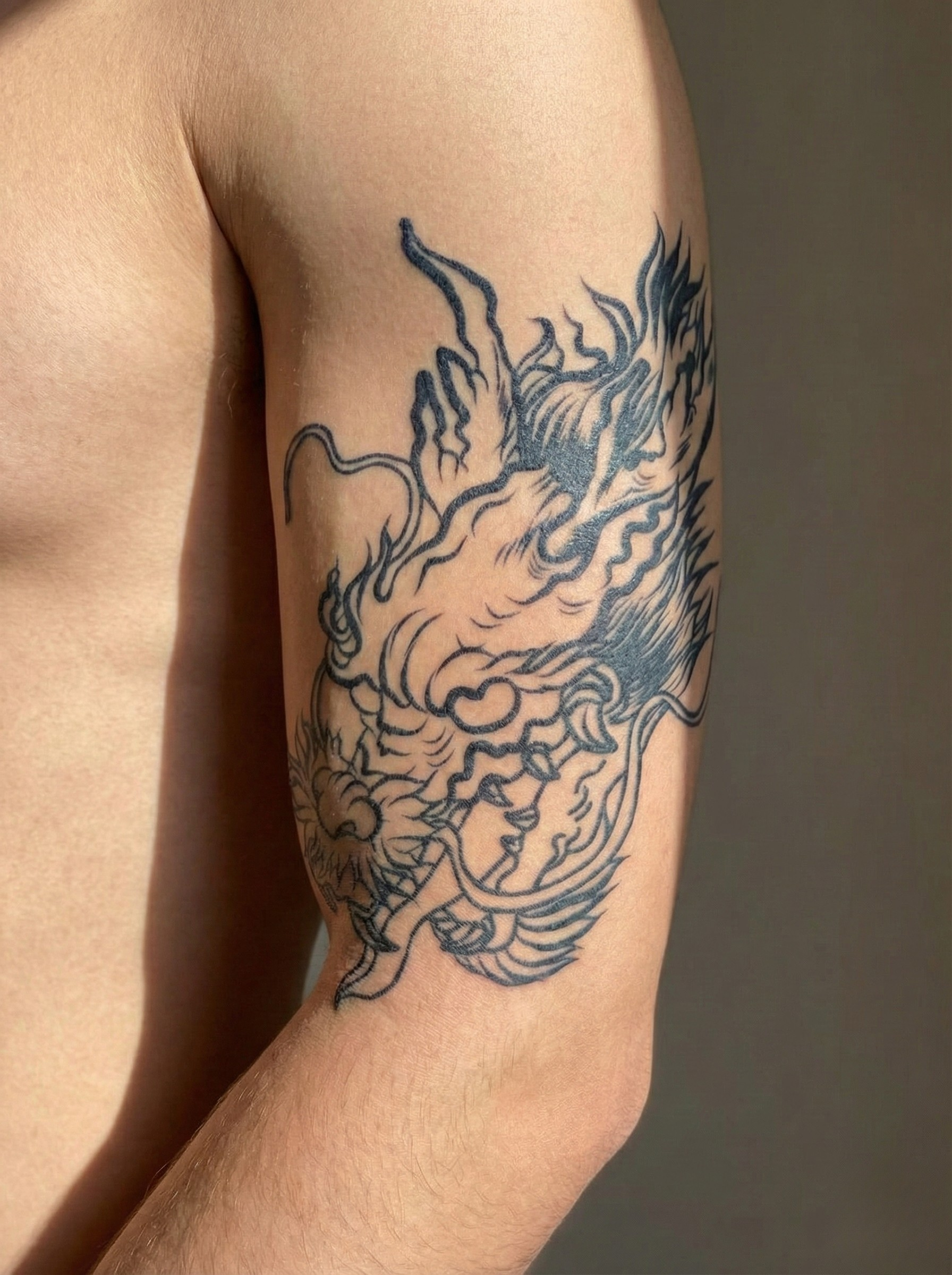 Dragón Ascendente_1