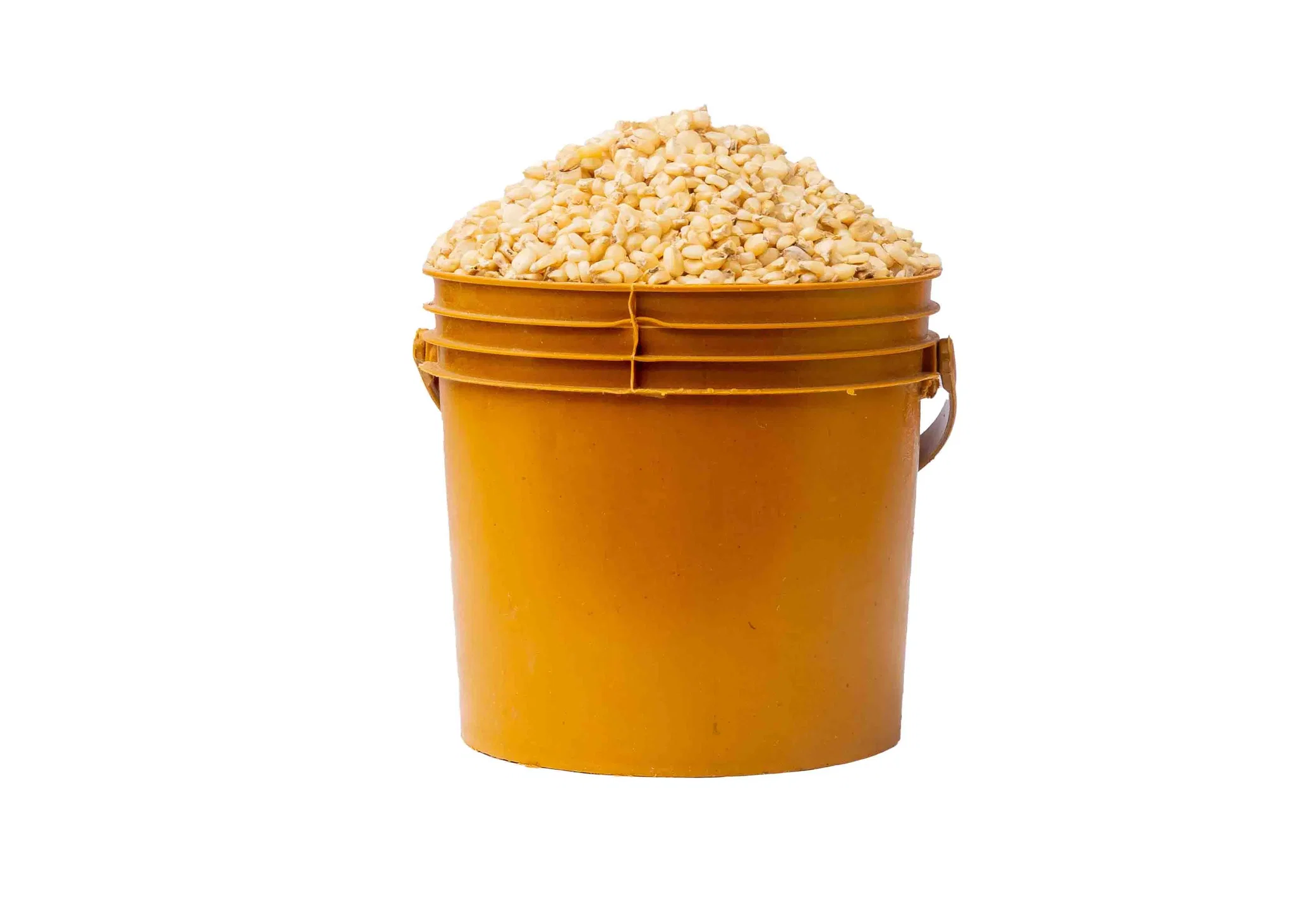 White Corn_1