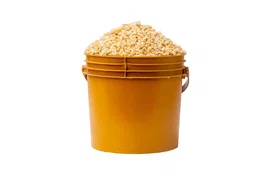 White Corn